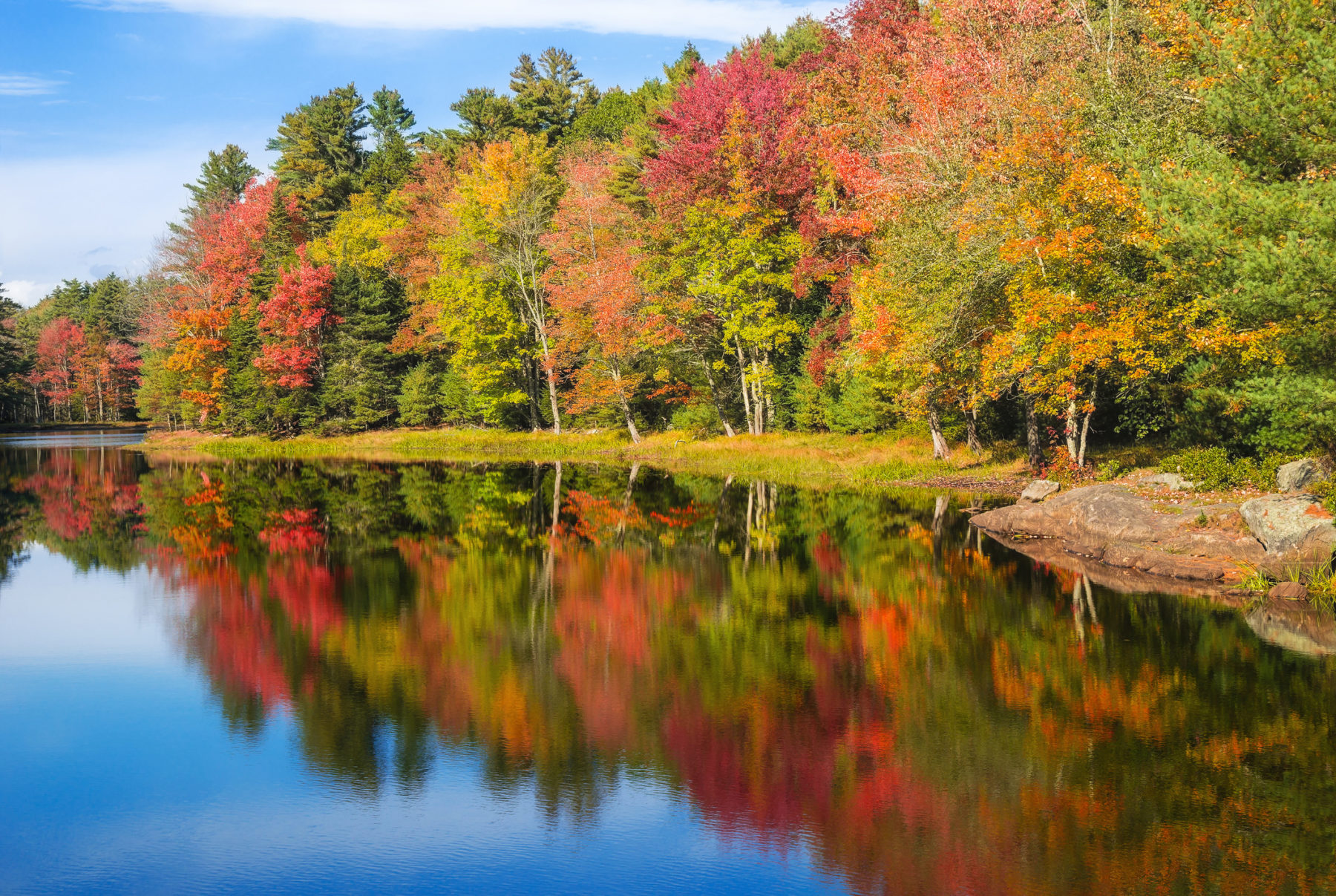 Autumn foliage reflections in pond on a sunny fall day in New England ...