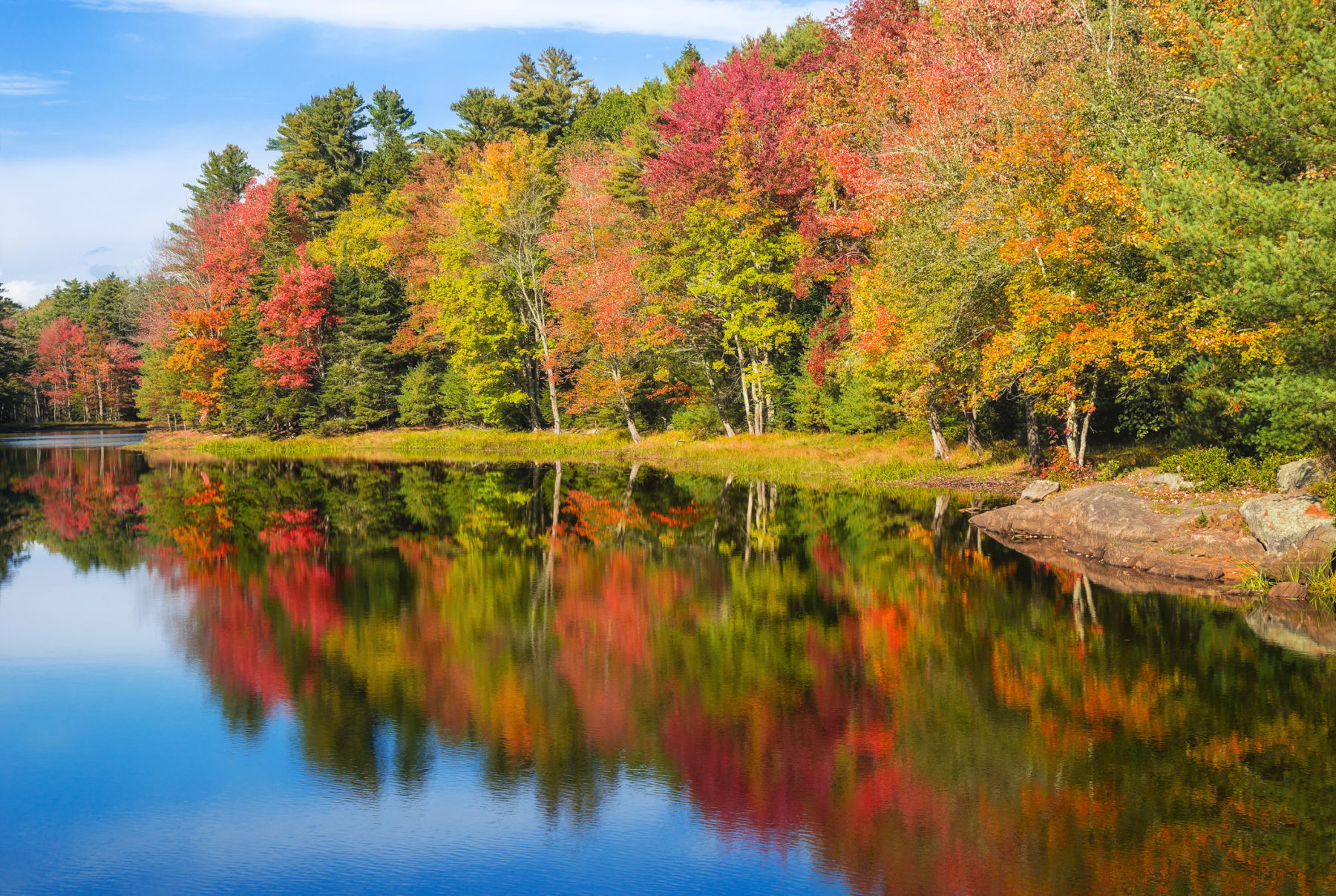 Autumn foliage reflections in pond on a sunny fall day in New England